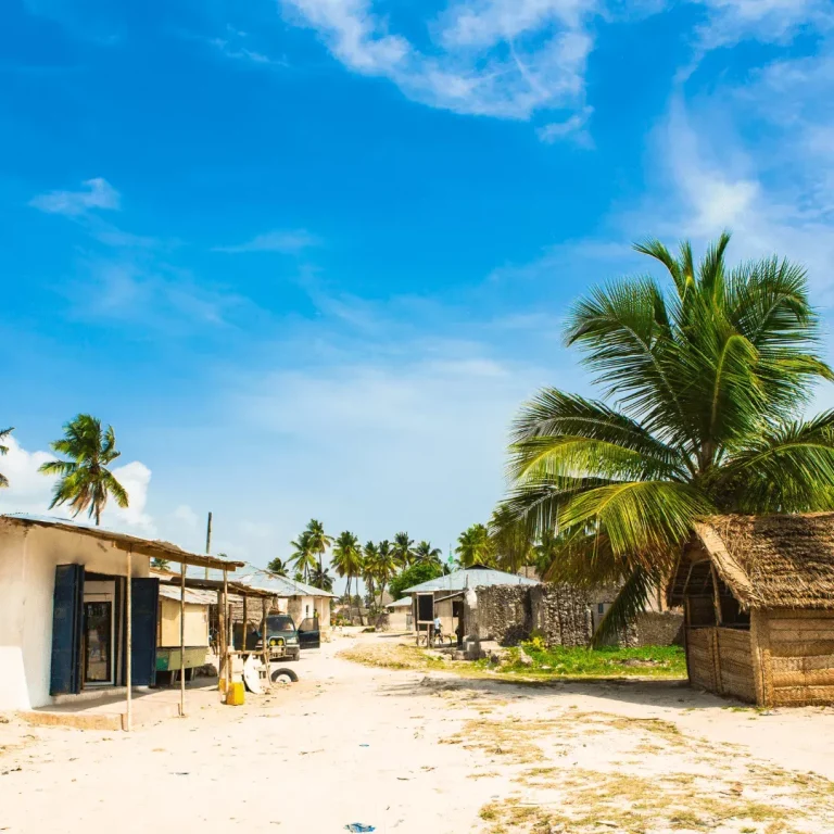 Tanzania 16 tanzania-6